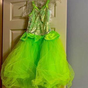 Princess Tiana Costume